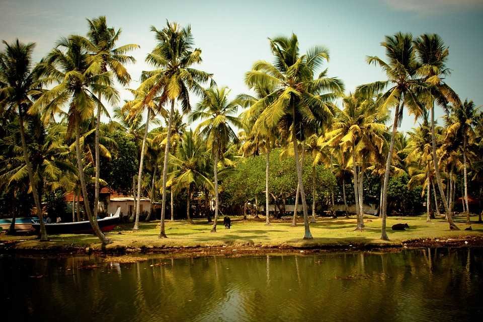 Beach trip in Kerala