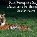 Ranthambore Safari: Discover the Benefits of Ecotourism