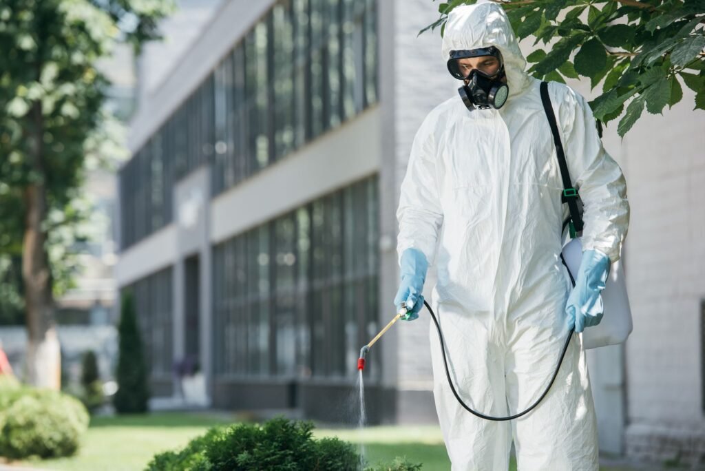 Pest Control in Lahore an Pest control service