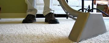 Area rug cleaning Glenview