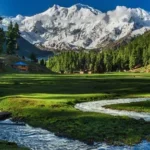 Fairy Meadows