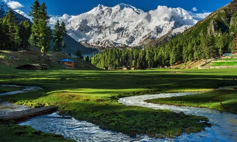 Fairy Meadows