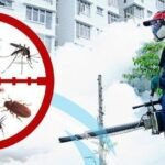 Pest Control services lahore