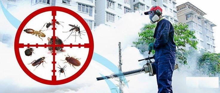 Pest Control services lahore