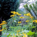 What are the benefits of Pushkarmool?
