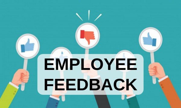 Employee Feedback Software: Transforming Workplace Dynamics