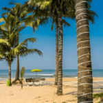 Goa tour packages